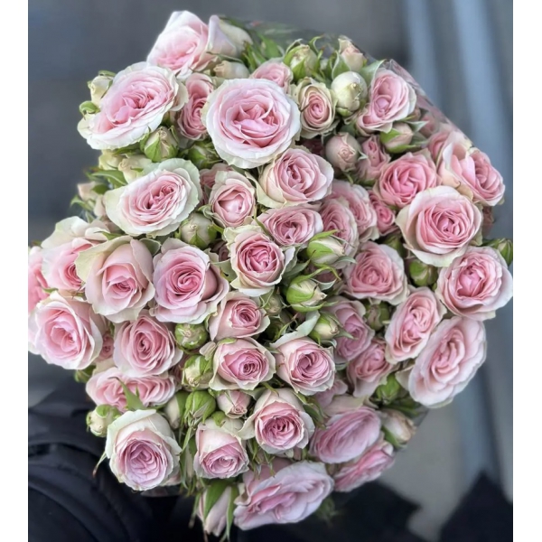 Санолі (спрей) — Sanoli