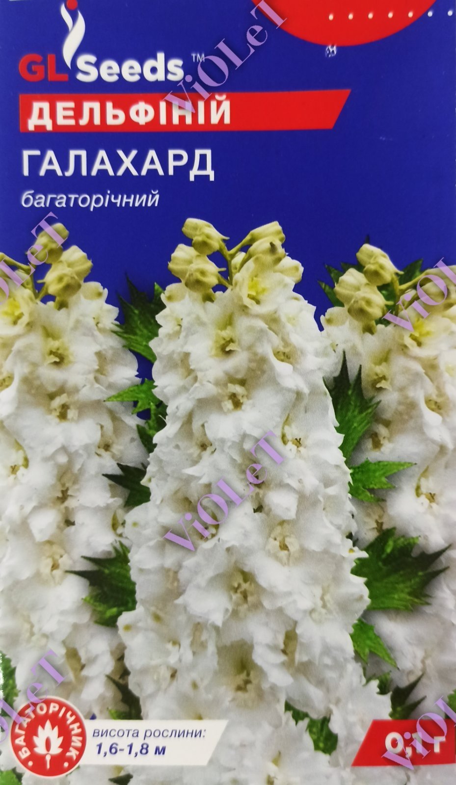 Дельфіній Галахард багаторічний, 0,1 г GL Seeds