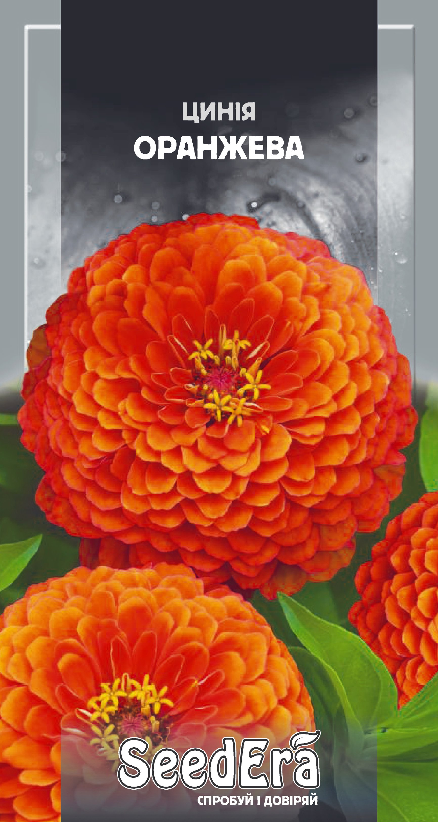 Насіння Квіти Цинія високоросла елегантна оранжева 0,5 г