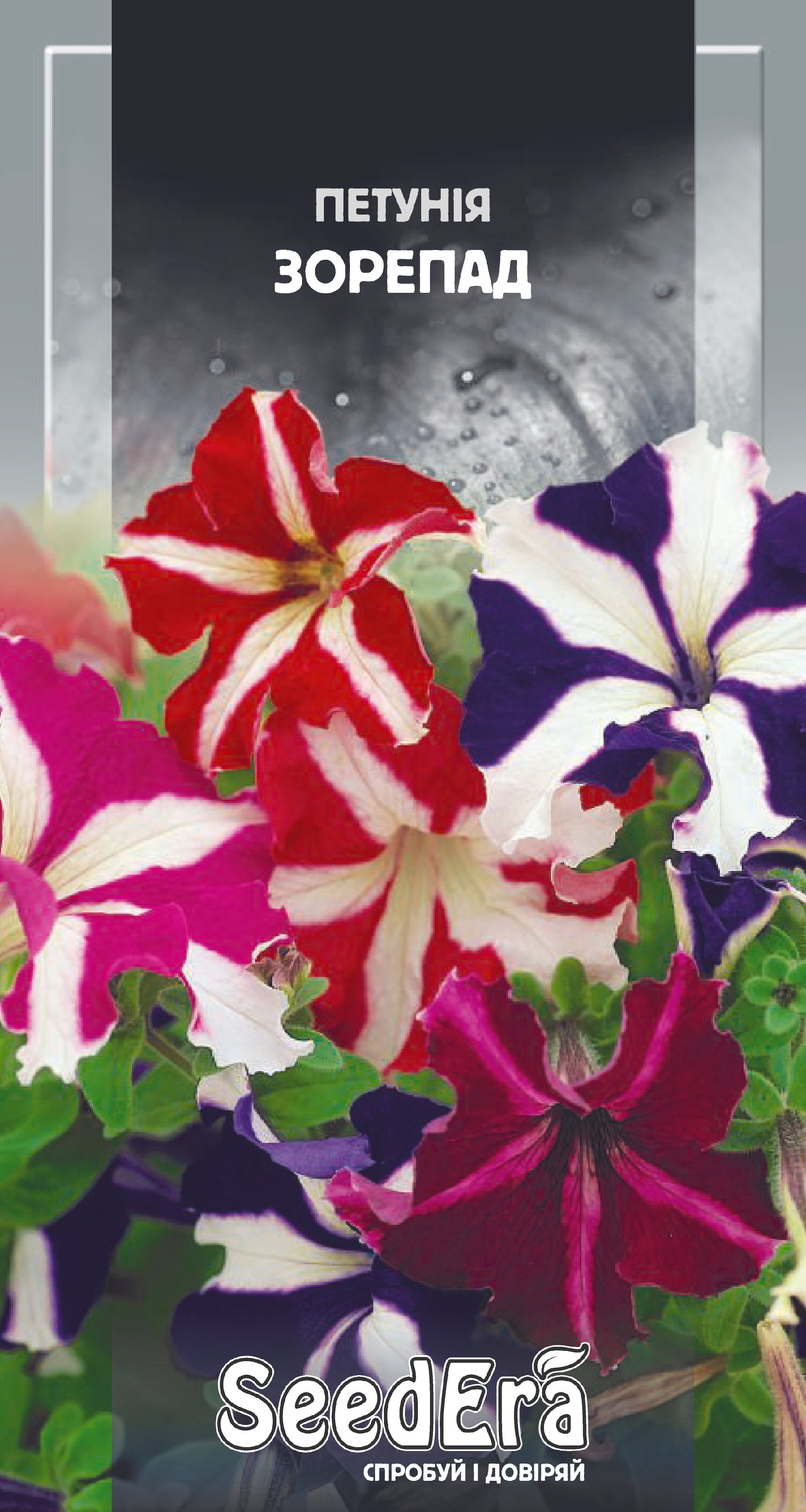 Насіння Квіти Петунія Зорепад, 0,1 шт