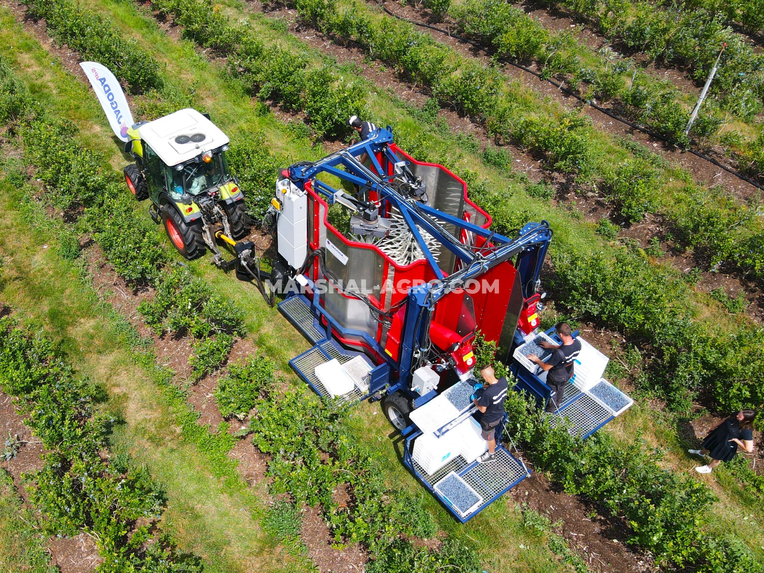 Комбайн для збирання чорниці та малини JAGODA 300