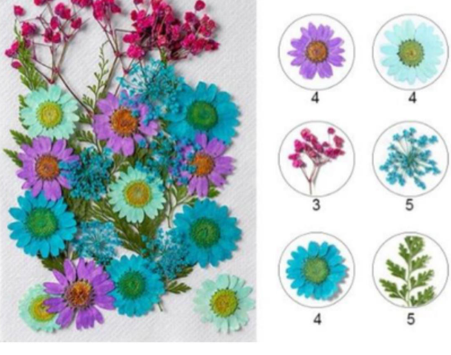 Mixed Pressed Flower ( 25 pcs pack )