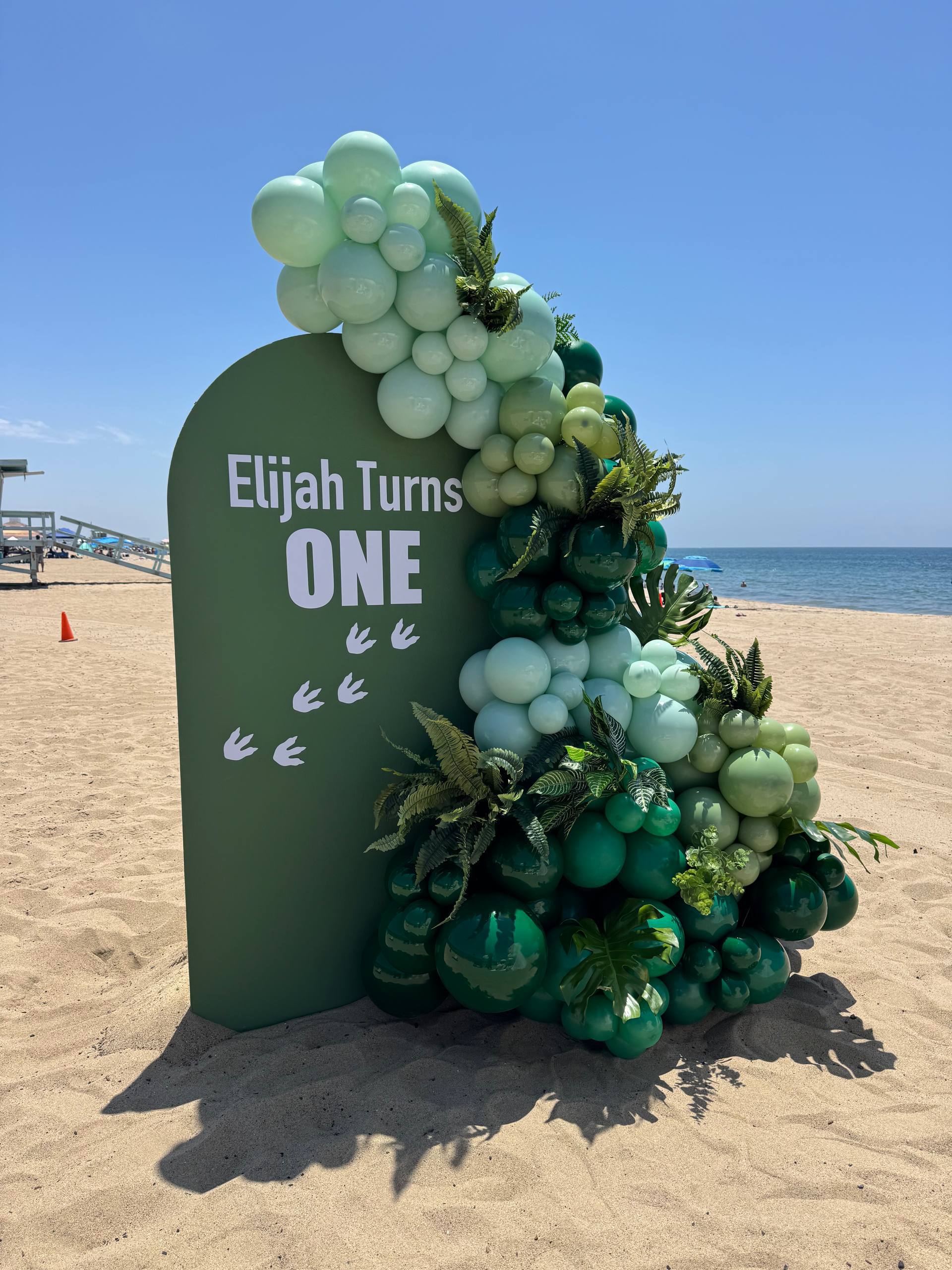 Jungle Balloon Backdrop