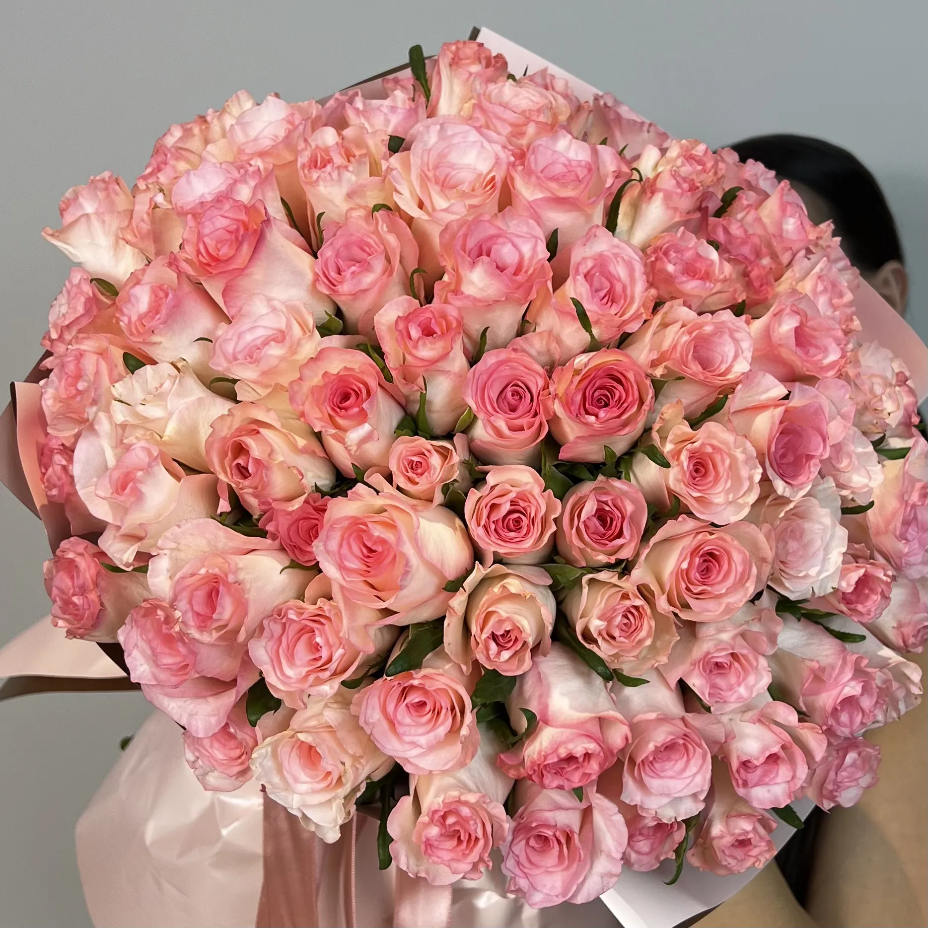 Pink Roses