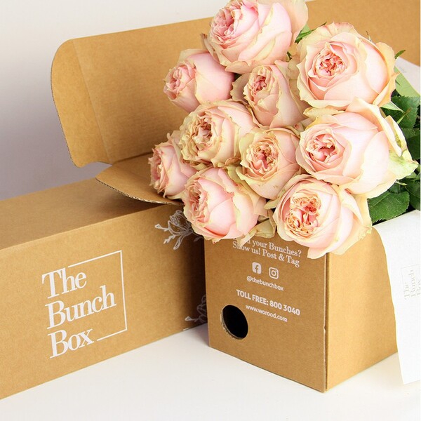 Фоксі Леді — Foxy Lady