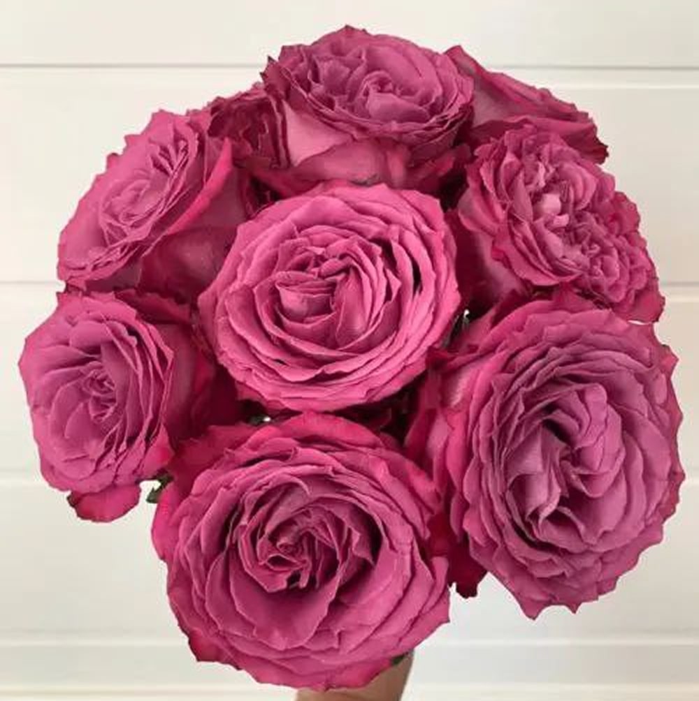 Принцеса Тамако (Princess Tamako)