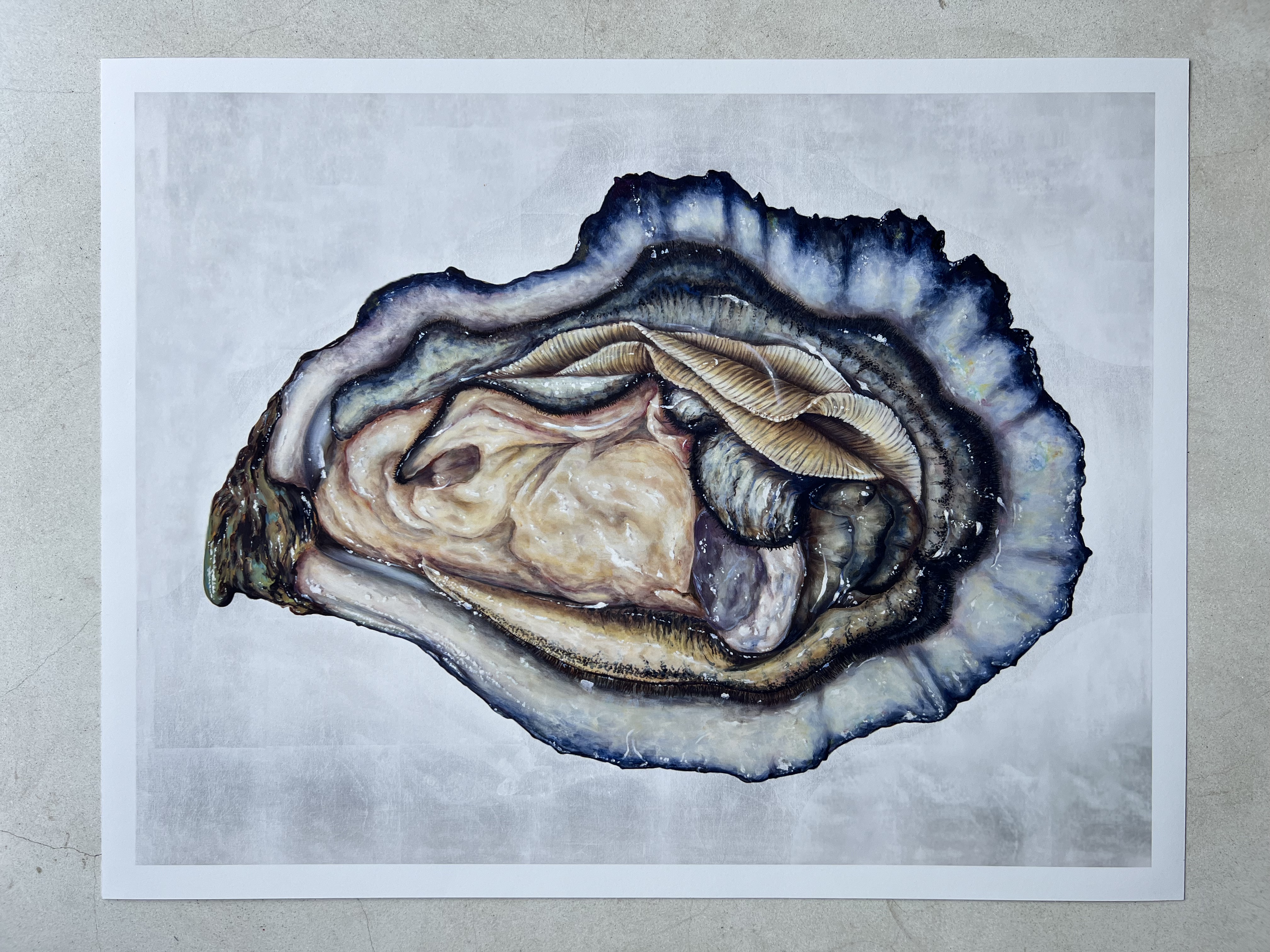 Oyster Print