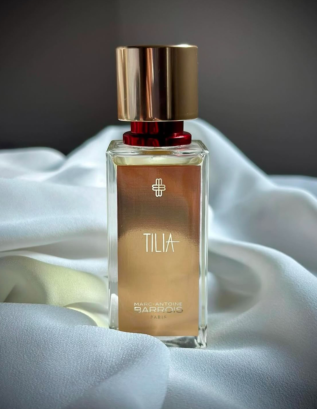 Tilia