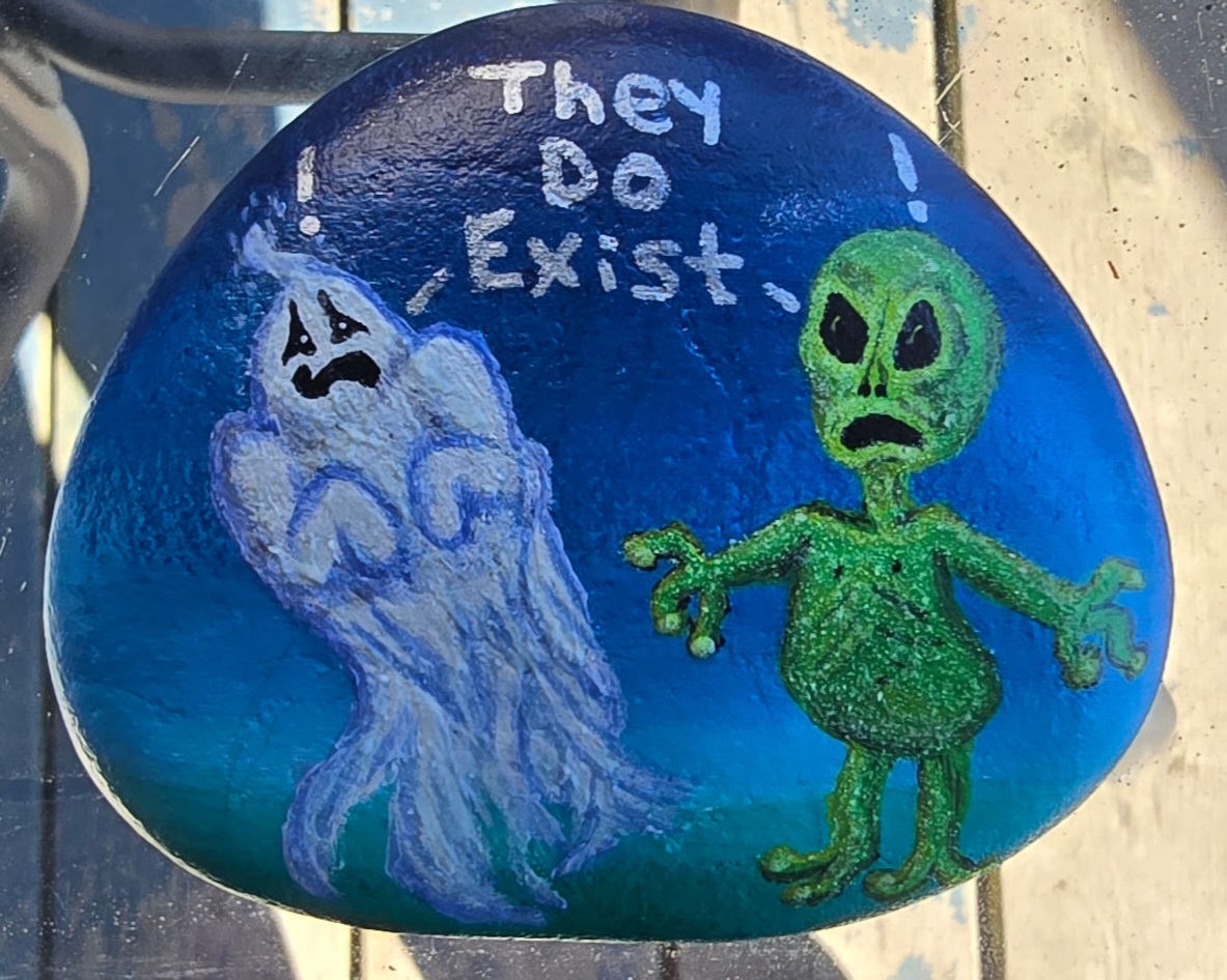 They DO Exist! Painted Rock