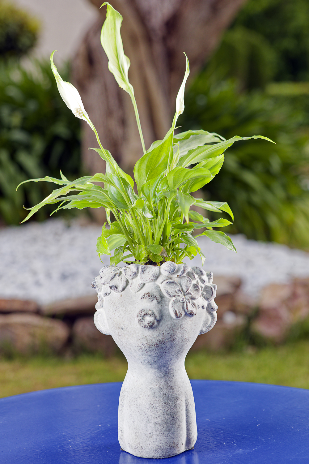 Cache pot "tête avec sa plante d'intérieur"