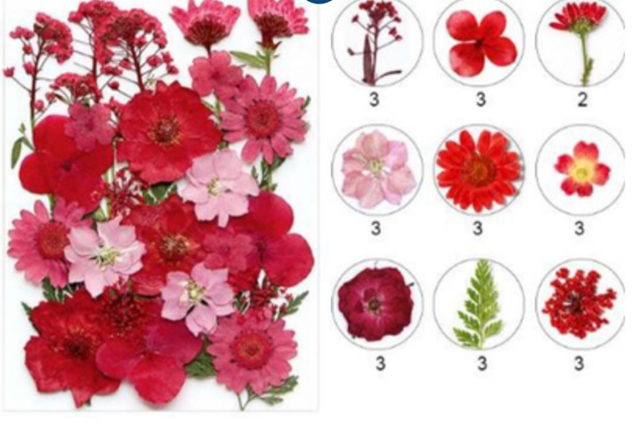 Mixed Pressed Flower ( 26 pcs pack )
