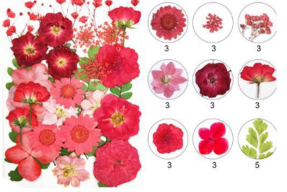 Mixed Pressed Flower ( 29 pcs pack )