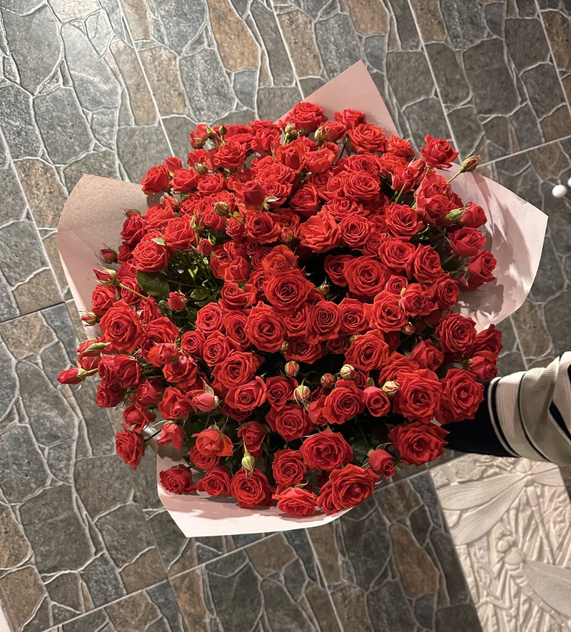 51 гілкова троянда "Ванесса"