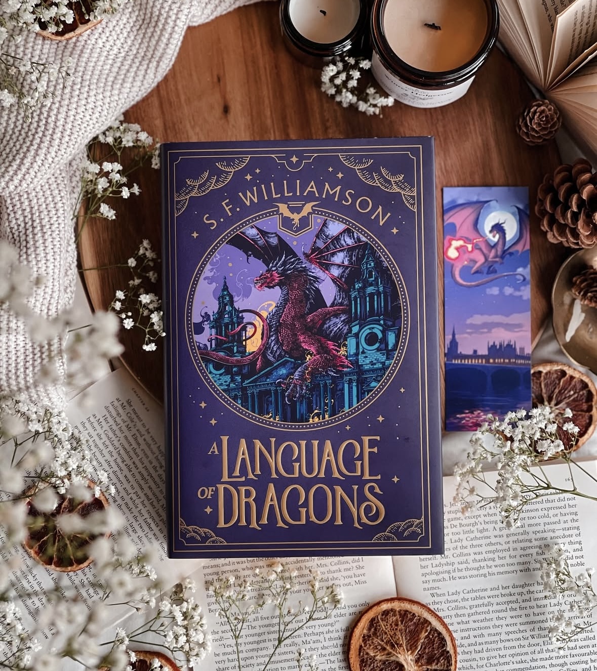 A Language of Dragons S. F. Williamson Fairyloot Edition