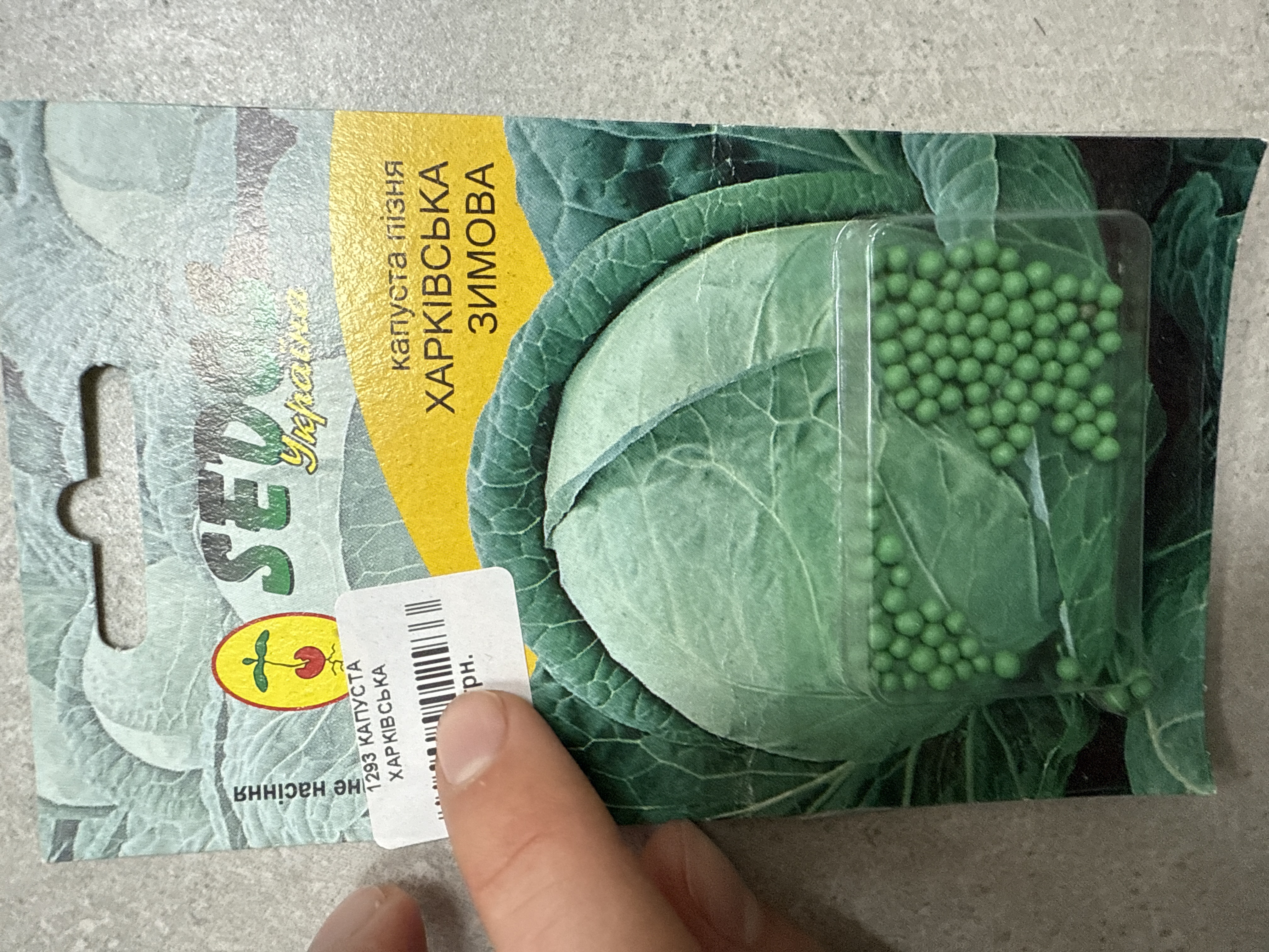 Капуста Харківська зимова оброблена 100 насінин