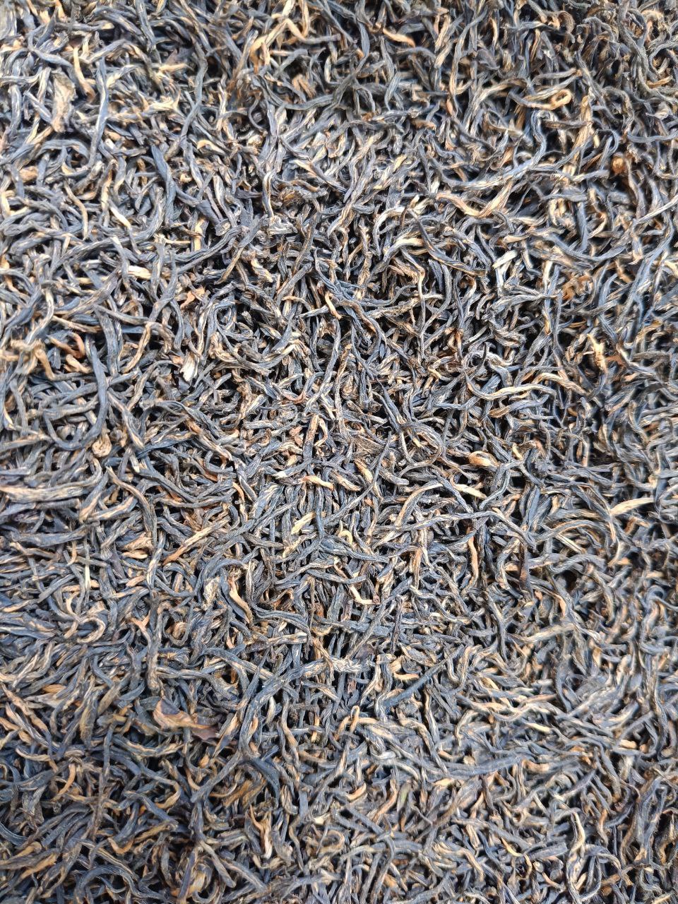 Цзінь Цзюнь Мей 2025