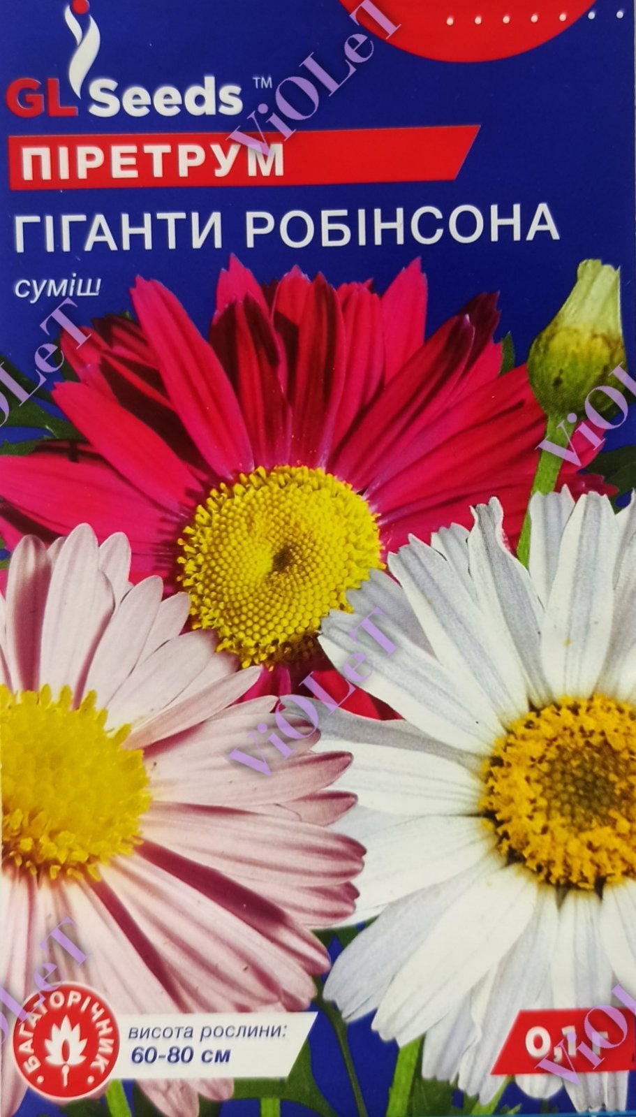 Піретрум Гіганти Робінсона суміш, 0,1 г GL Seeds