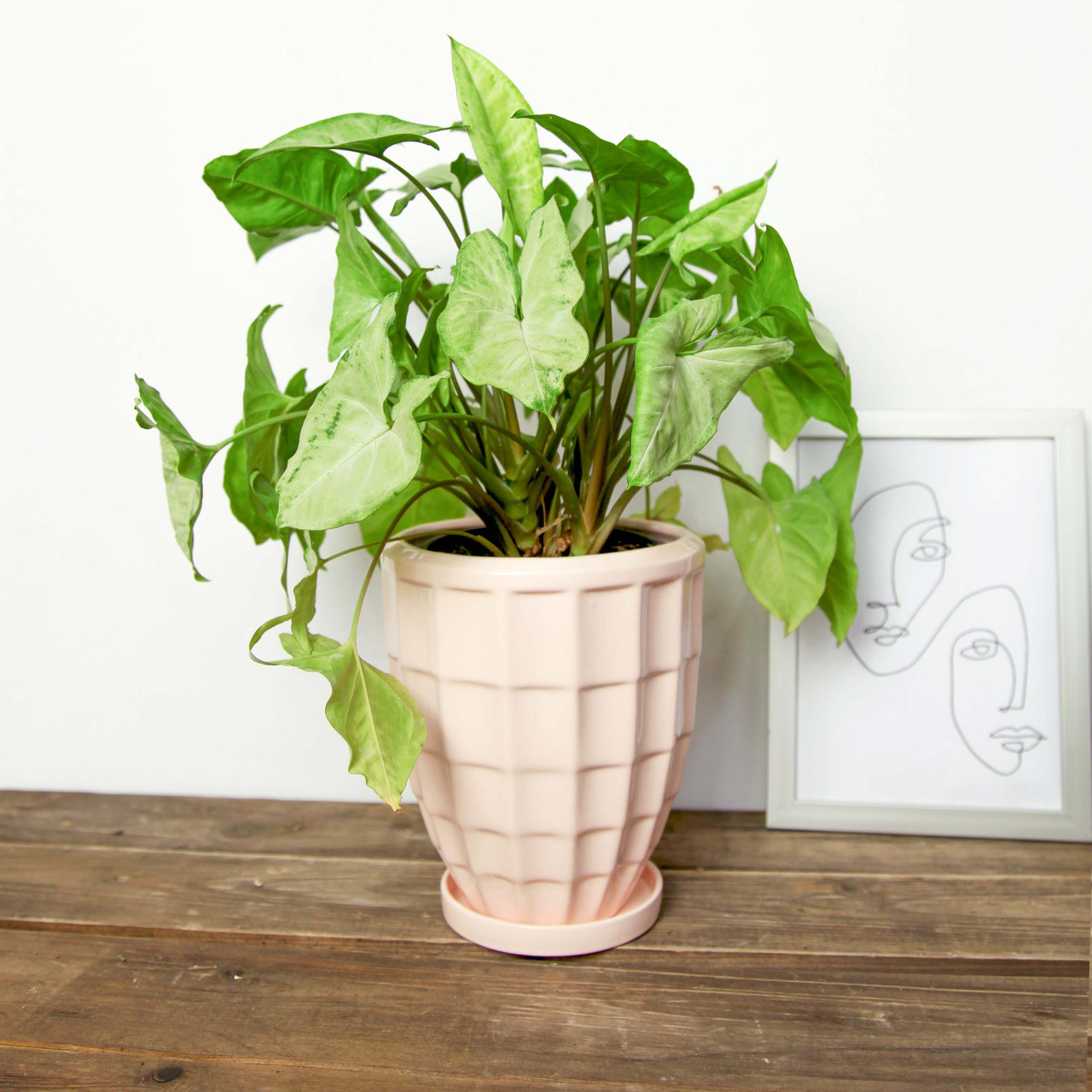 Горщик керамічний Рельєф квадрати 1,7 л Персиковий p268