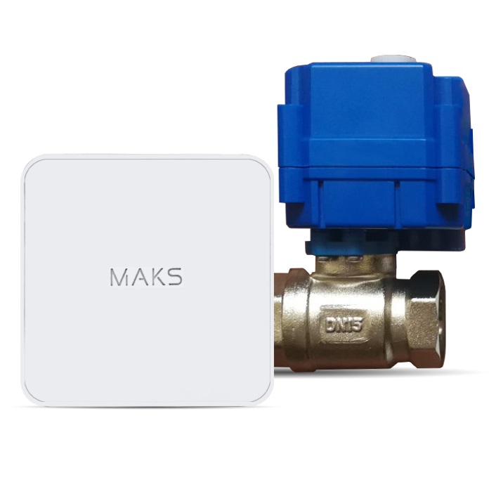MAKS VALVE KIT