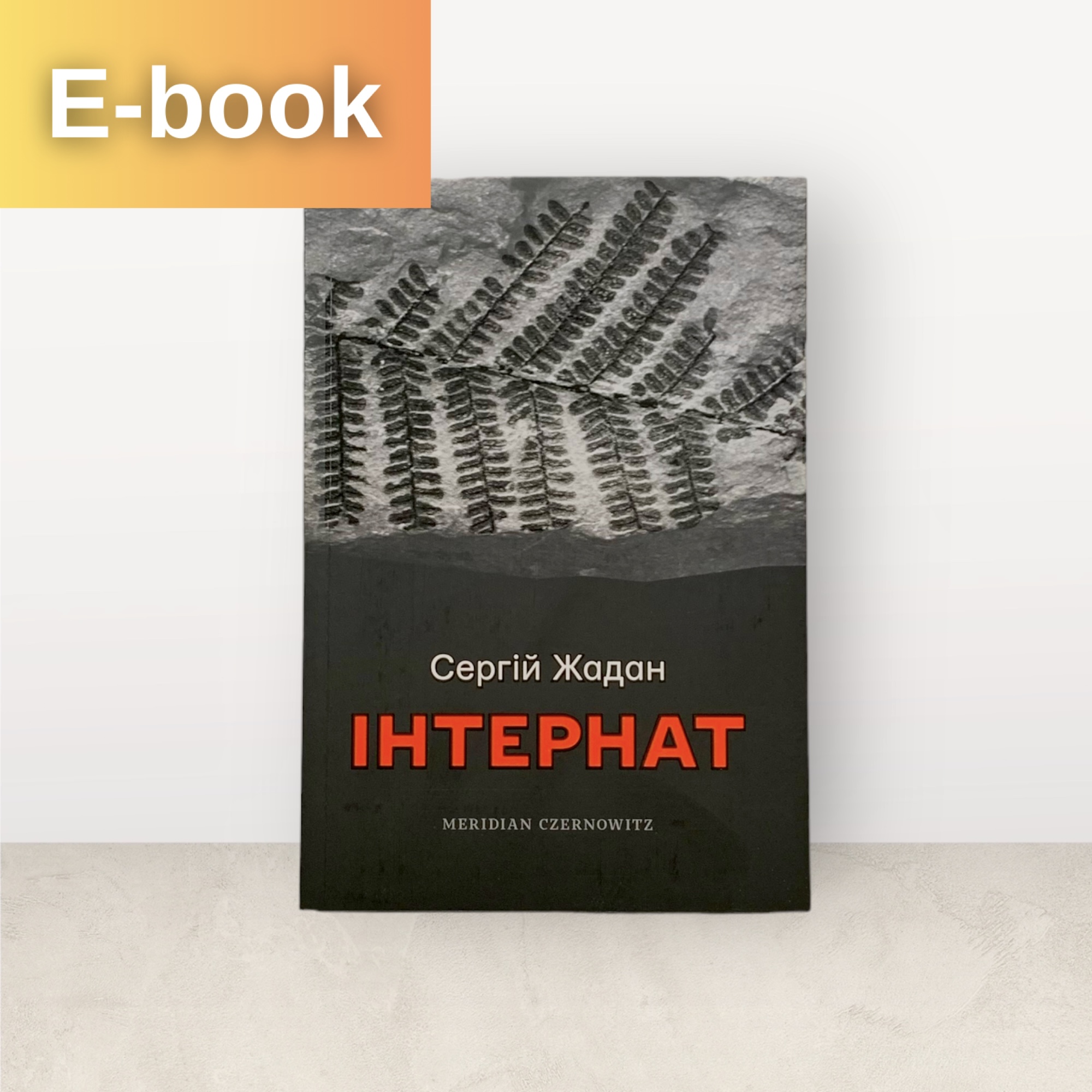 Інтернат / Сергій Жадан / Електронна