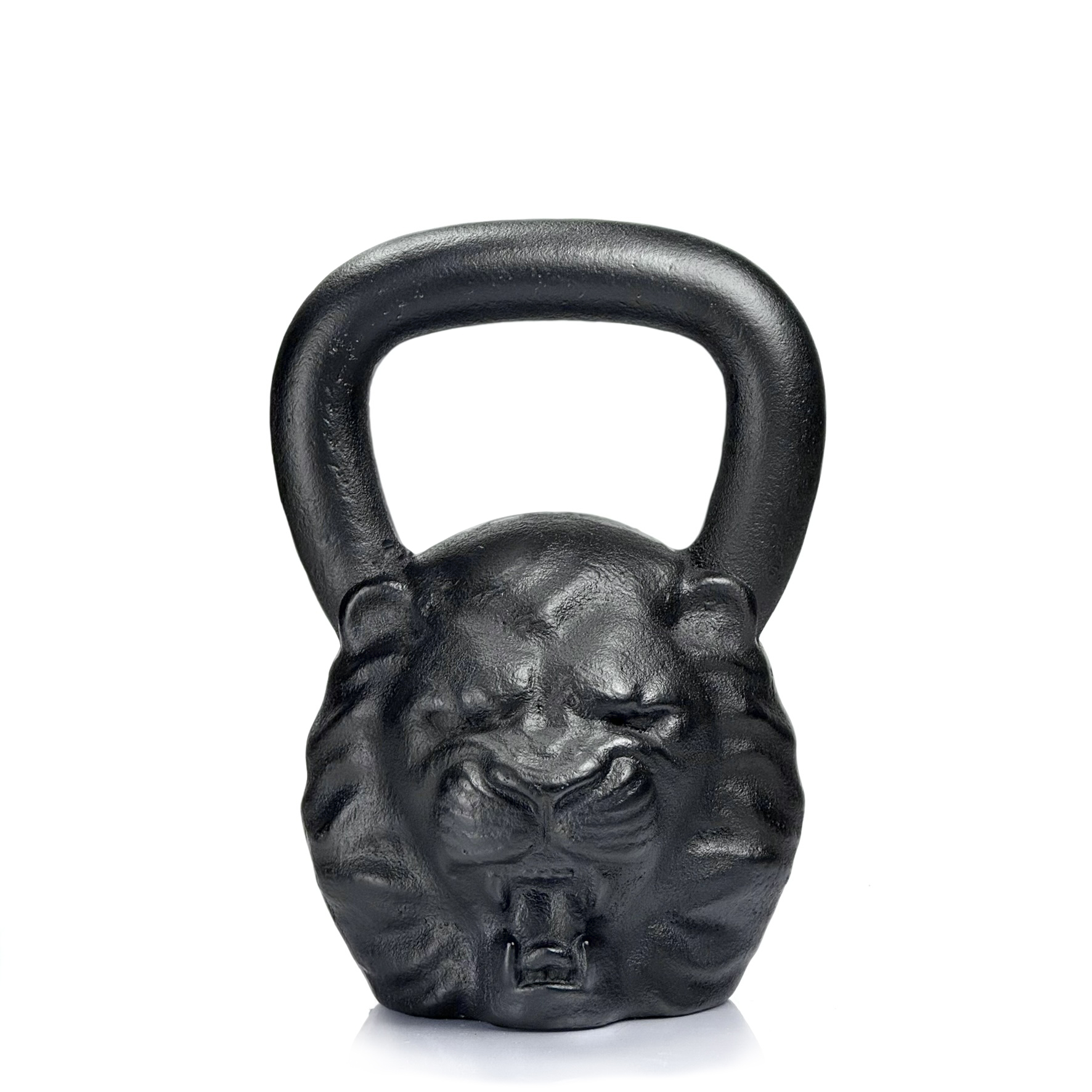 Lion 24 kg