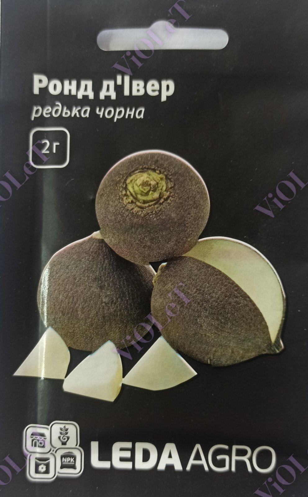 Ронд д'Івер, редька чорна,  Leda