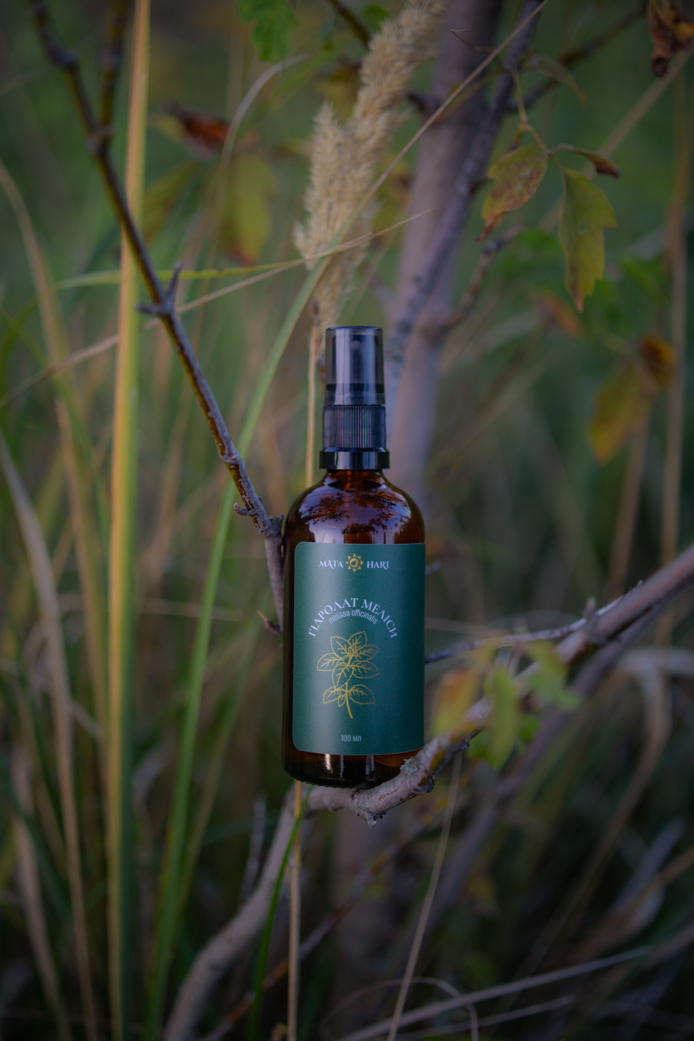 ГІДРОЛАТ МЕЛІСИ