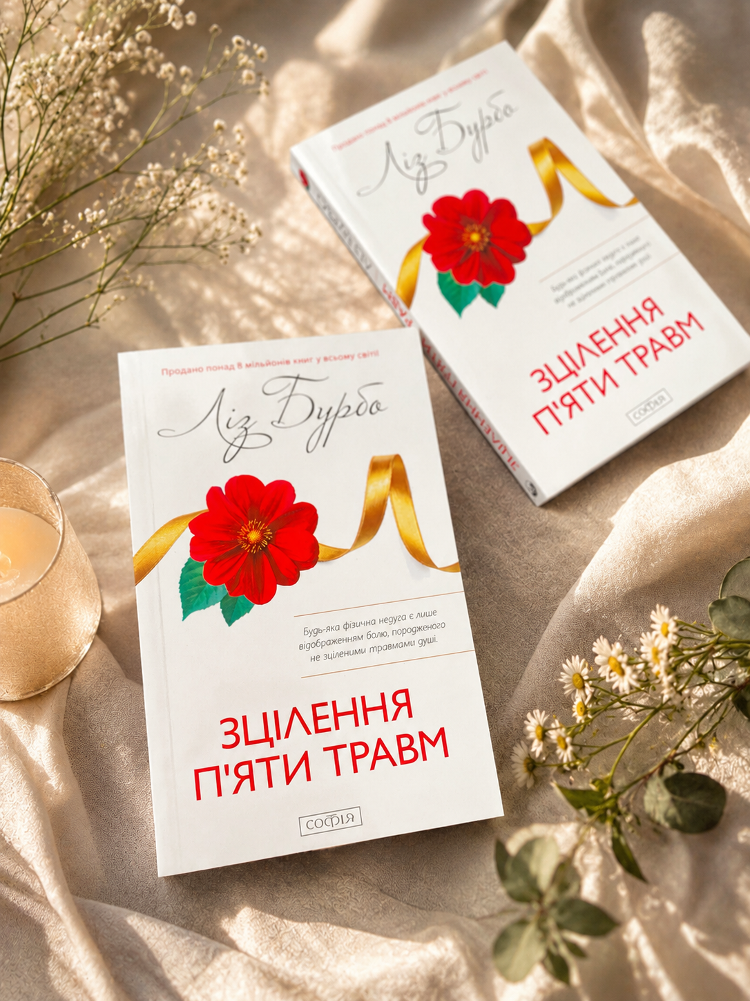 Книга Зцілення пʼяти травм. Ліз Бурбо