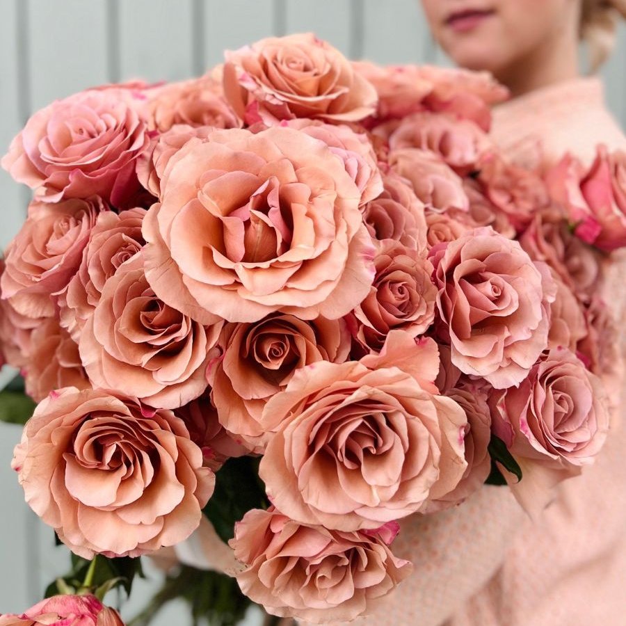 Моккачіно - Moccachino