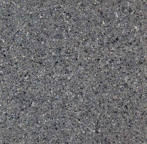 LT0019