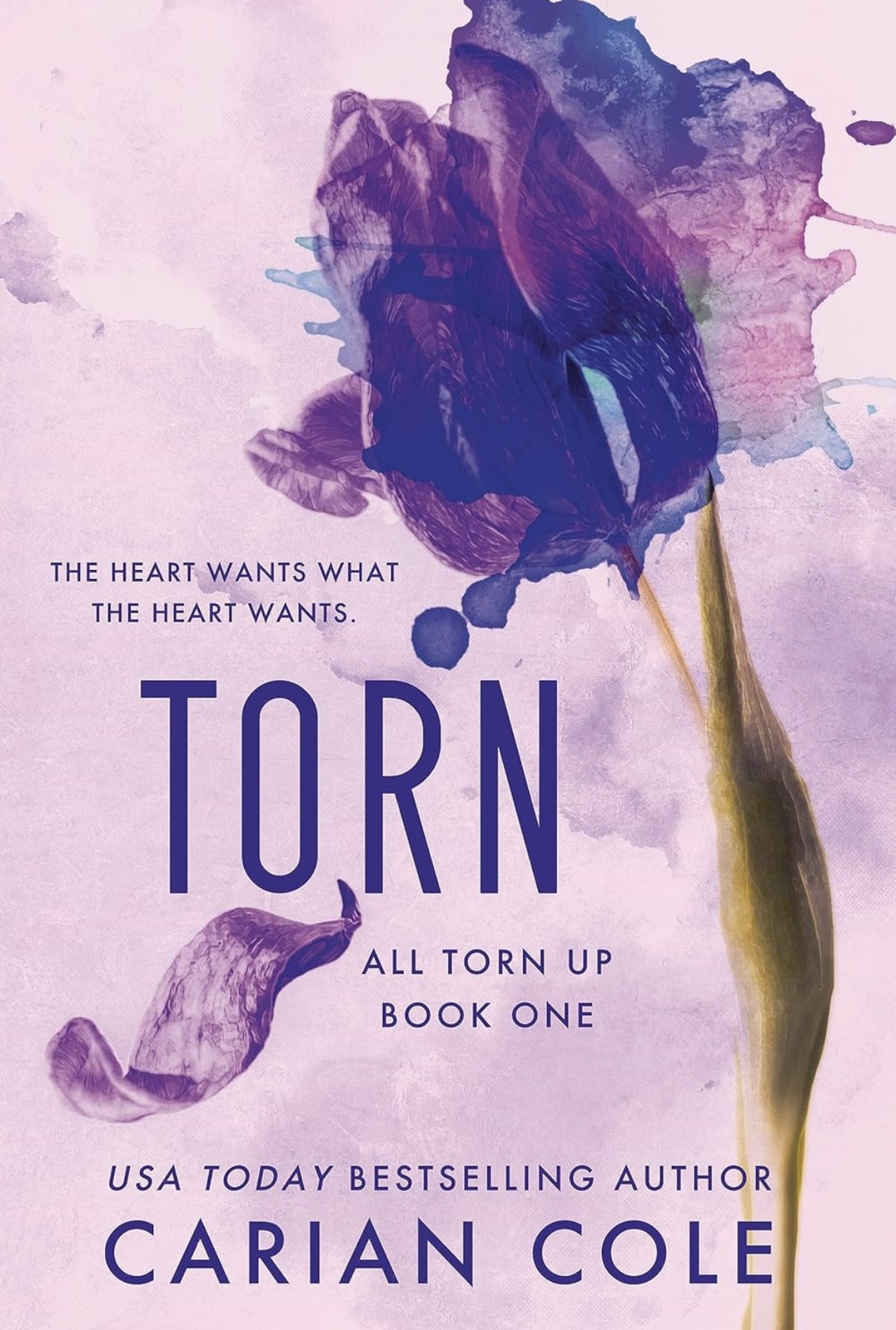 Torn Carian Cole book 2