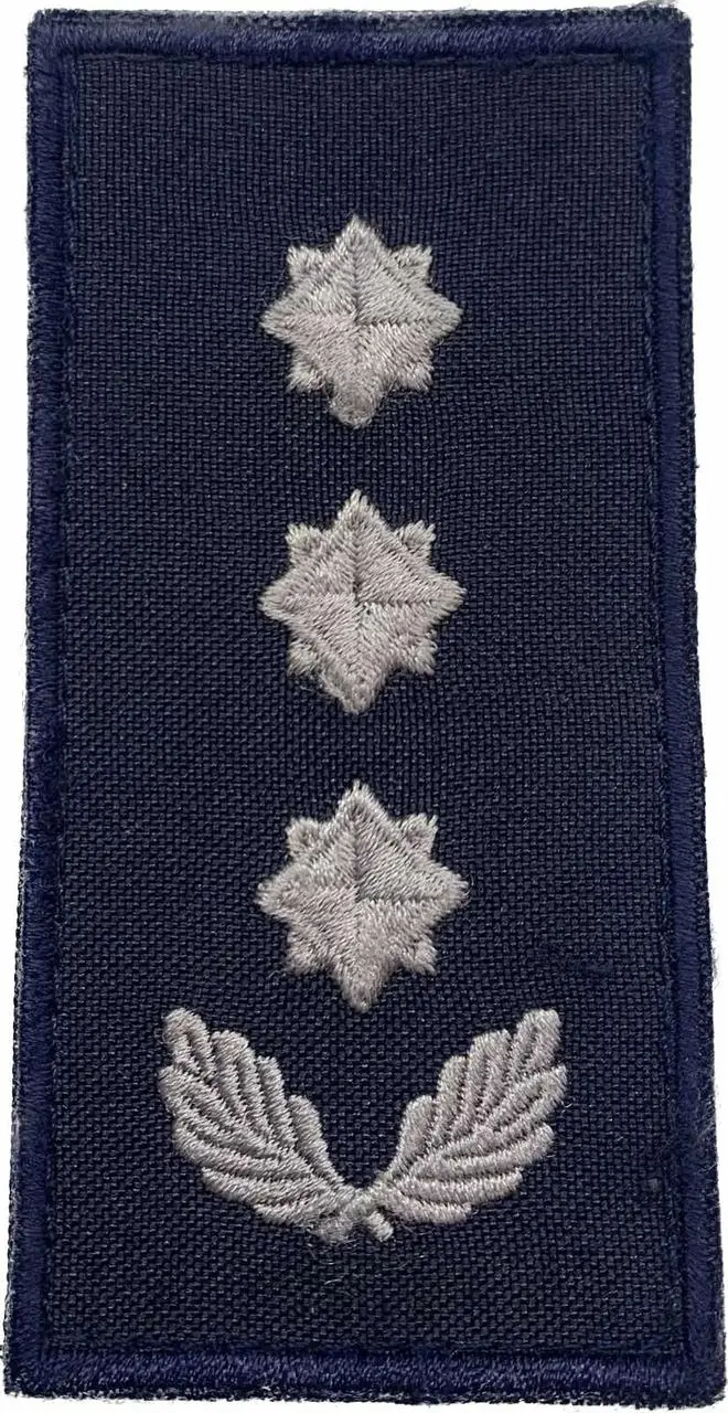 Погон Полковник ДСНС ( на липучці)