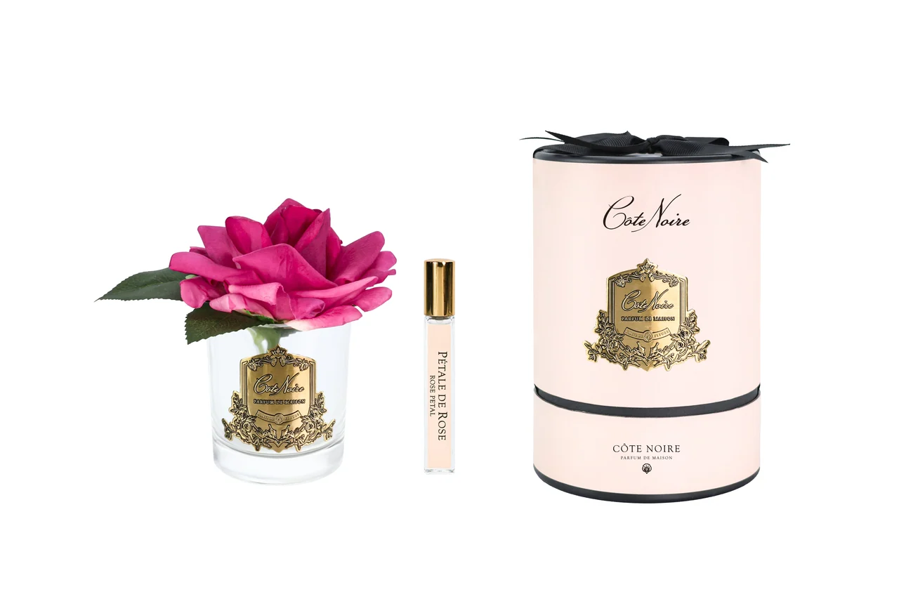 Аромаквіти Cote Noire French Rose Magenta & Clear Glass - ароматична троянда кольору маджента у прозорій скляній вазі