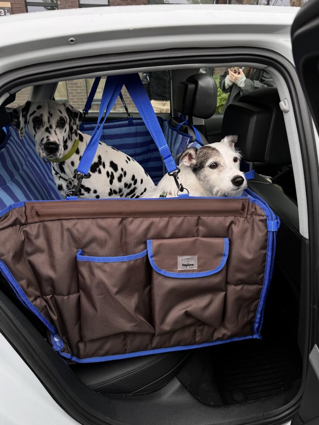 Модель Х (Snousey x HeyJune)