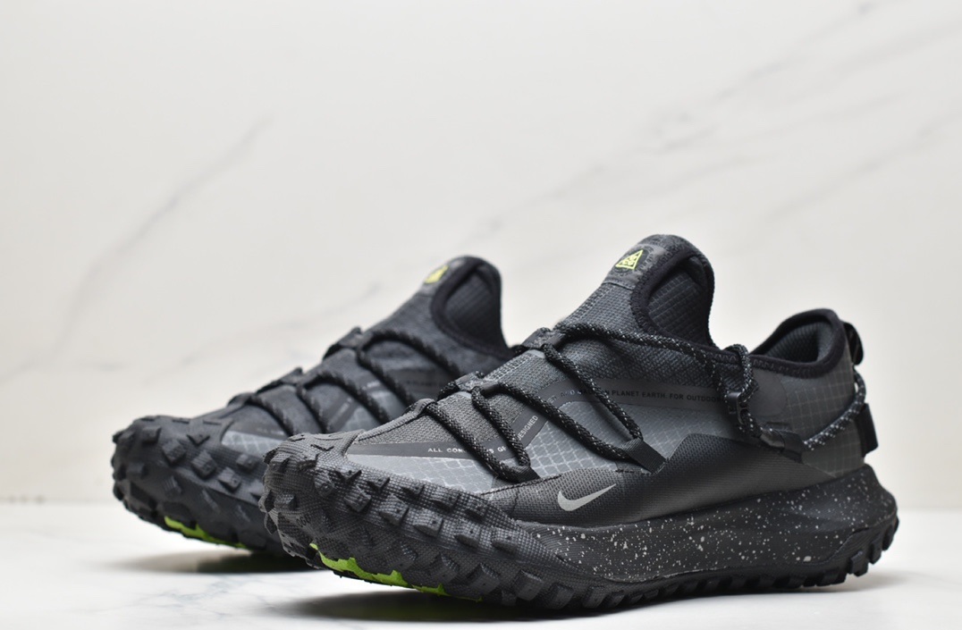 Nike ACG Mountain Fly Low Gtx SE DD2861—002