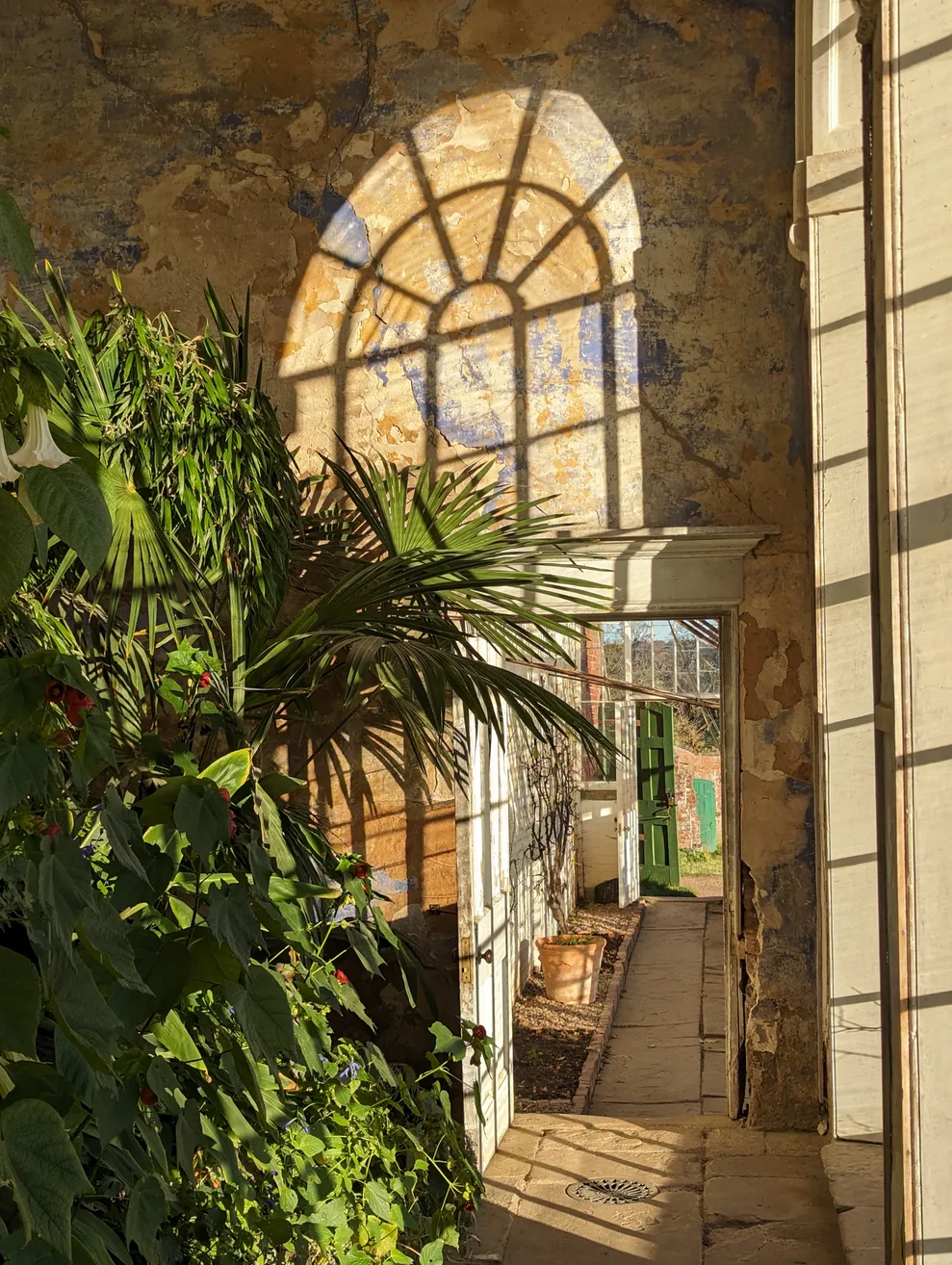 Calke Abbey Orangery