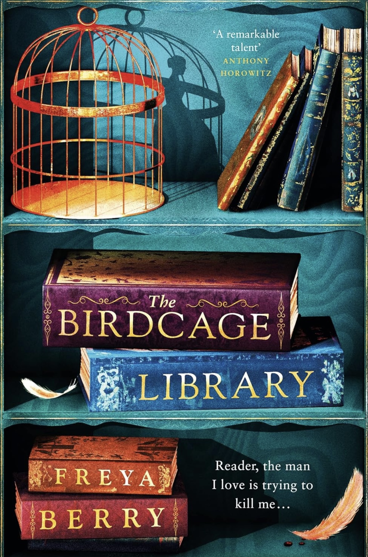 The birdcage library Freya Berry