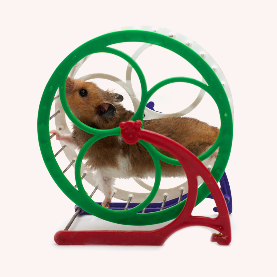 TISCO Toy Wheel