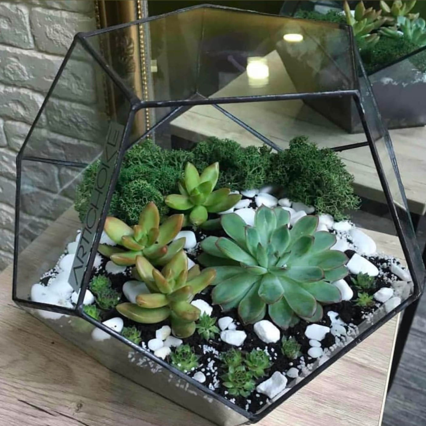 Флораріум 002