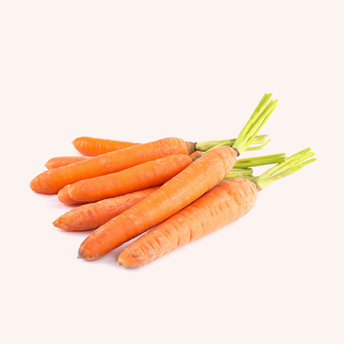 Zanahorias