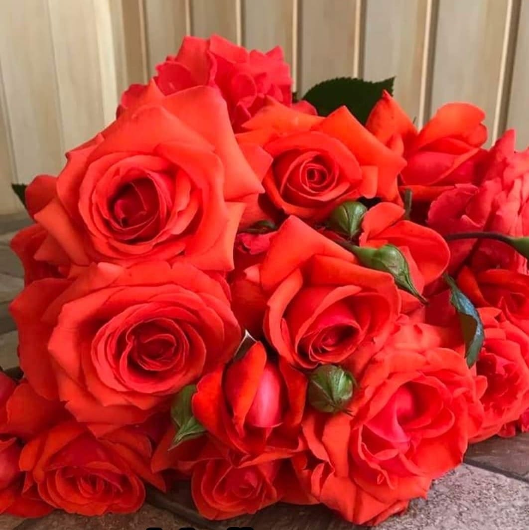 Майнтауерн (Maintower)