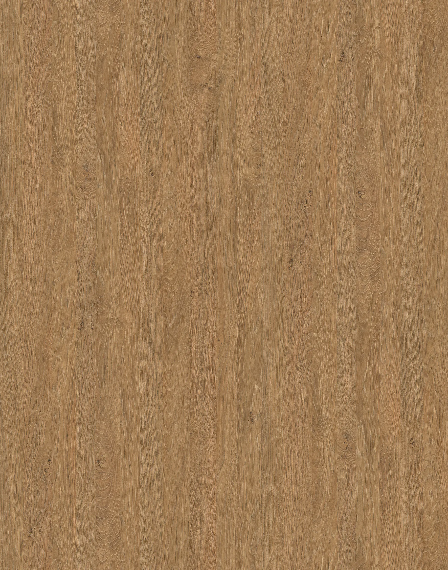 Дуб Кам'яний