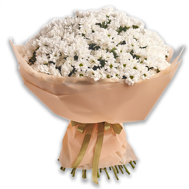 Великий букет з 51 білої хризантеми Ромашка
