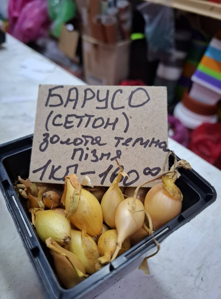 Цибуля Барусо