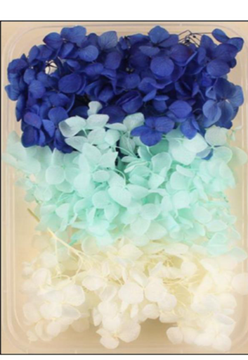 Dried Hydrangea ( 5gm )