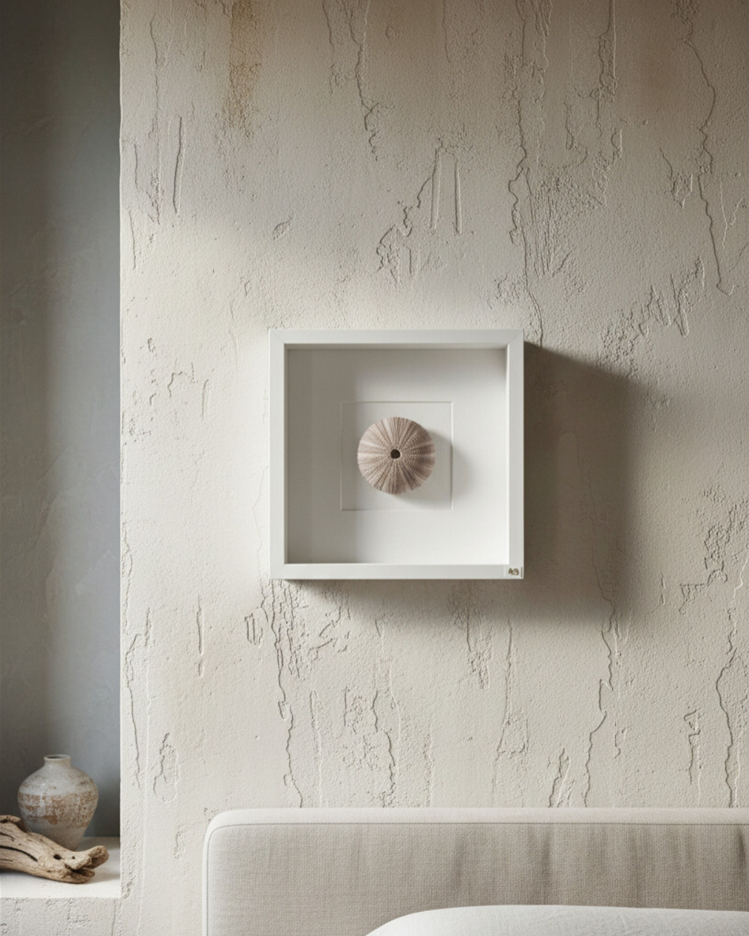 Framed Adriatic Sea Urchin