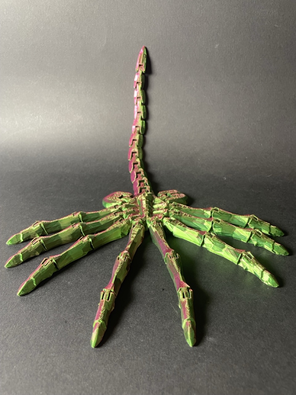 Павук рухомий Чужий