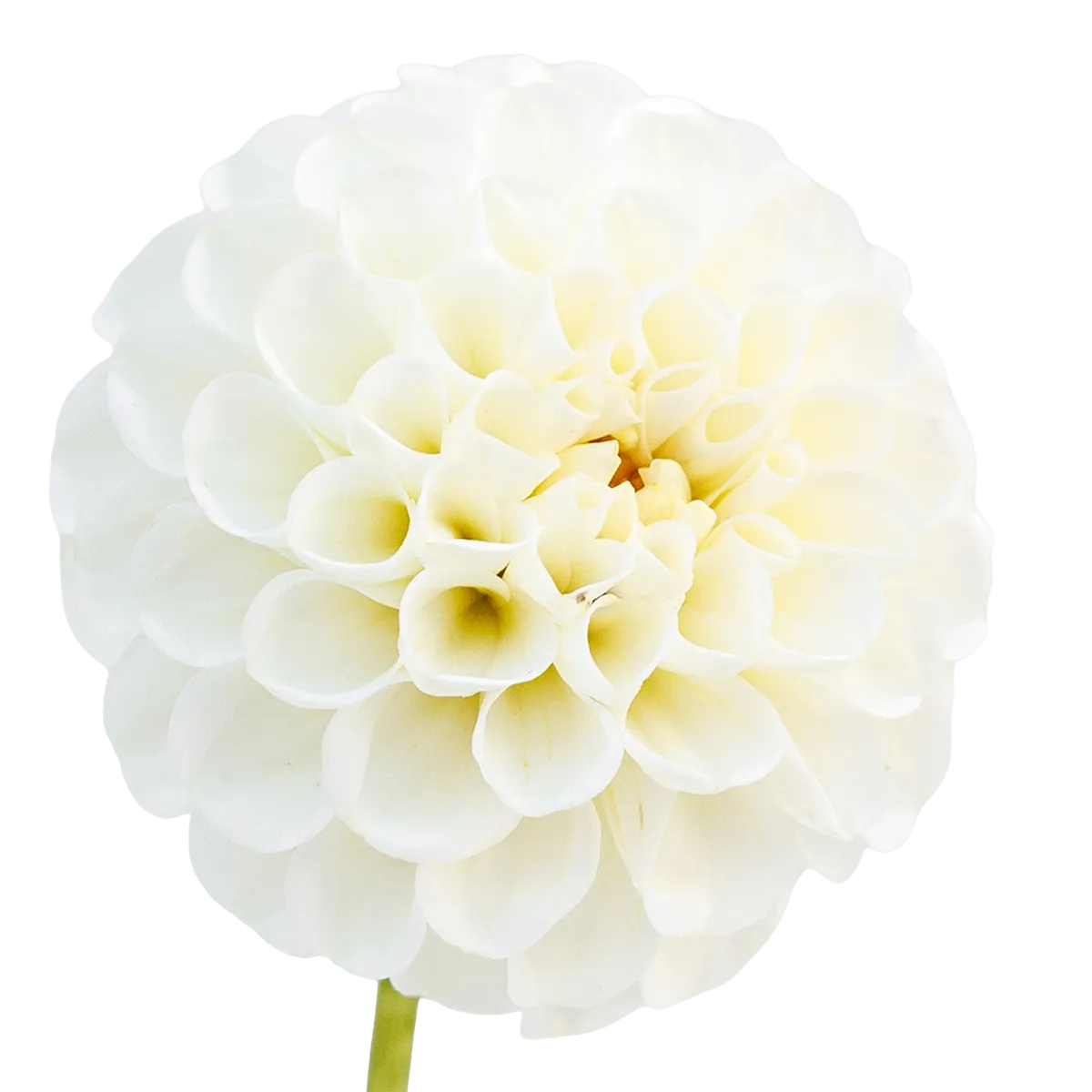 Snowflake