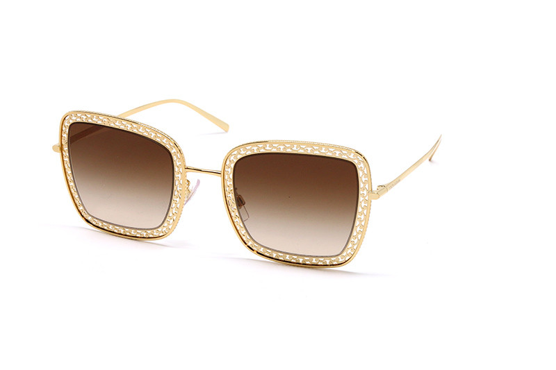 DOLCE & GABBANA DG 2225 (13116E)