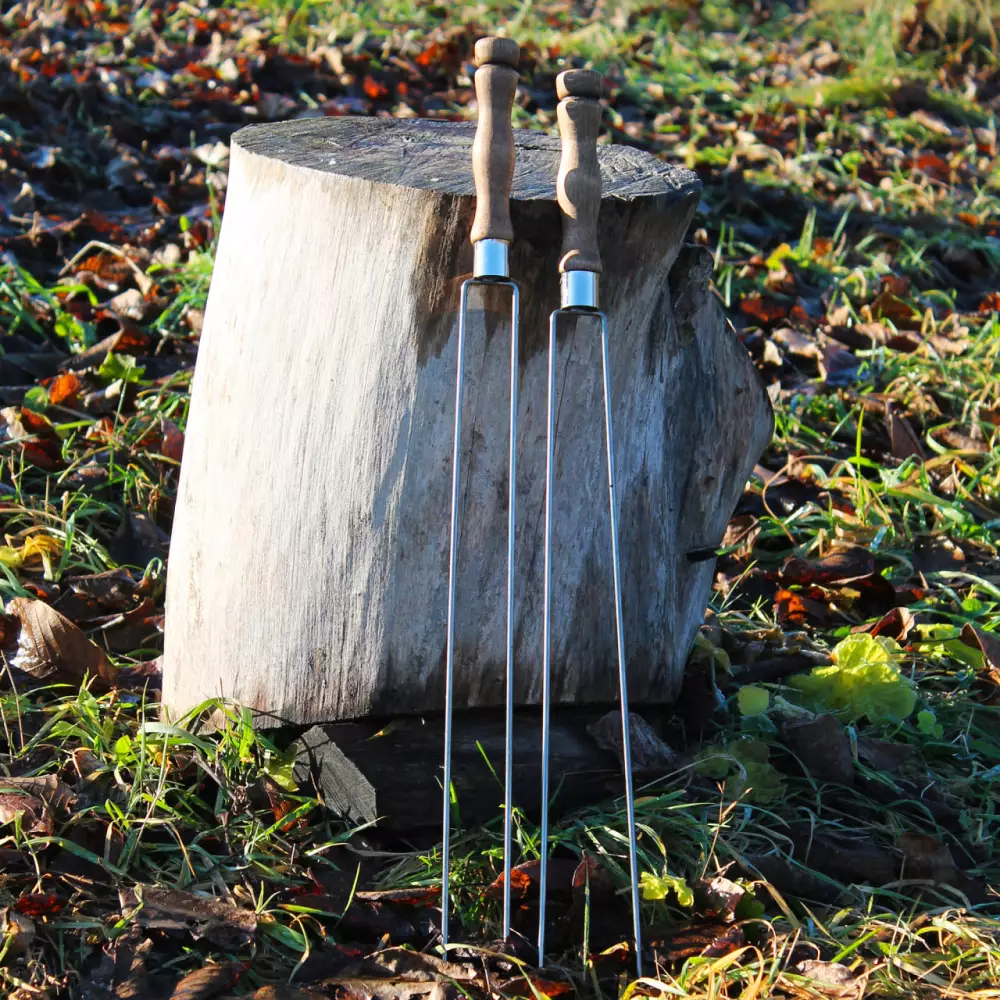 Шампур подвійний для овочів з дерев'яною ручкою